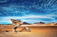 /album/bolivia/arbol-de-piedra-jpg/